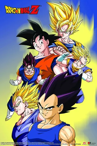 Quadro Anime Desenho Dragon Ball Goku Vegeta TT18