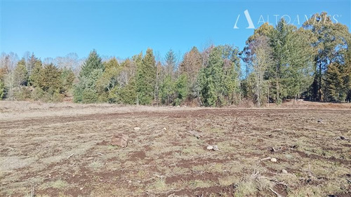 Sitio 5000 Mt2 En Venta En Villarrica