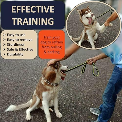 Collar De Pellizco Para Perro, Collar De Entrenamiento Ajust