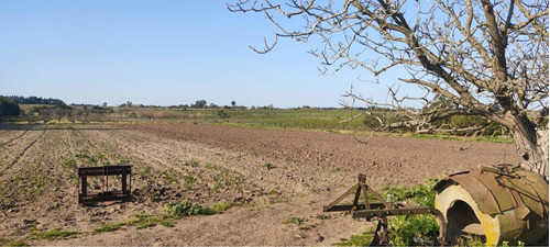 Chacra 5 Hectáreas Con Vivienda