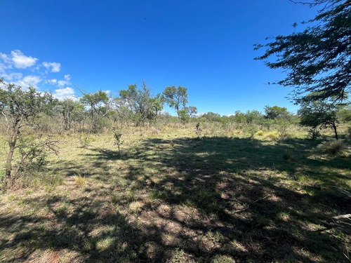 Venta Campo Villa Quillinzo (40 Hectareas) Ideal Para Loteo