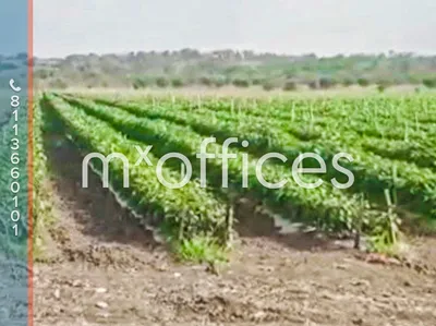 Terreno en renta