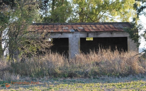 Imagen 16 de 23 de Oportunidad Campo En Zavalla