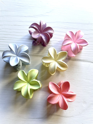 Pinza Broche Tamaño Chico Para Pelo Cabello, Flor Hawaiana