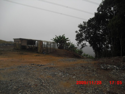 Imagem 2 de 11 de Sitio 25 Alq. (2 Casas E Estufa)