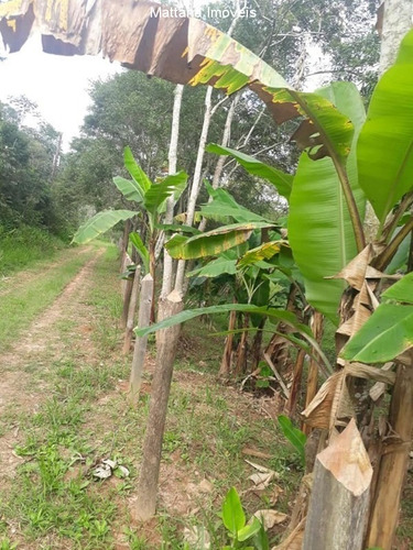 Imagem 6 de 27 de Chácara Com 8.000 M² Entre Santra Branca E Guararema-sp - Ch25 - 33998903