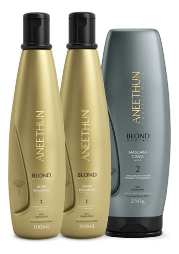 Kit Aneethun Blond System 2 Sh Silver + Mask Cinza 250g