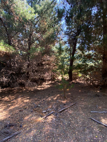 En Venta Excelente Sitio A 5 Minutos De Puertecillo