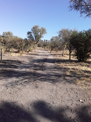 Imagen 11 de 17 de Chacra Rural Con Galpon