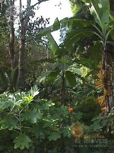 Imagem 6 de 6 de Venda - Chácara Paulas E Mendes / Piedade/sp - 3713