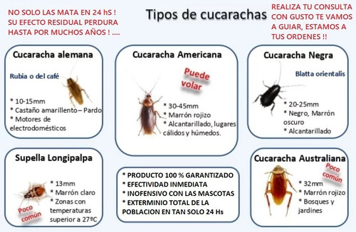 Imagen 4 de 5 de Veneno Para Cucarachas Eliminación 100% Garantizada En24 Hs