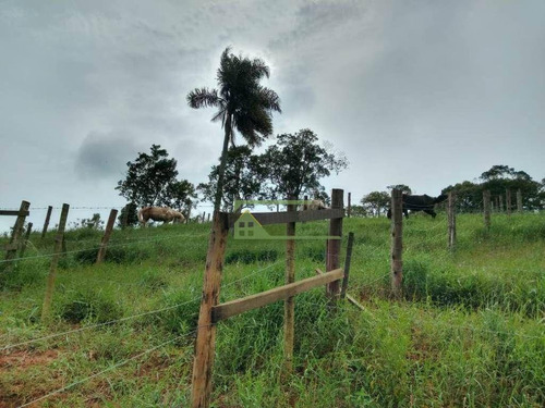 Imagem 7 de 17 de Sítio Com 1 Dormitório À Venda, 24000 M² Por R$ 380.000,00 - Verava - Ibiúna/sp - Si0167