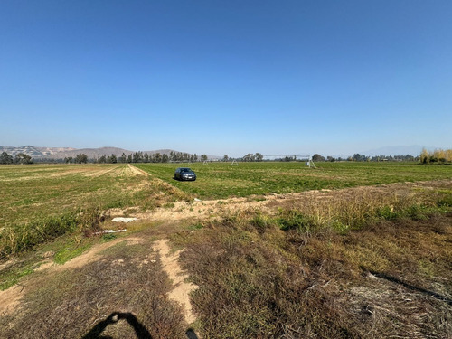 Predio Con Agua En El Mejor Sector Y Con La Mayor Plusvalía