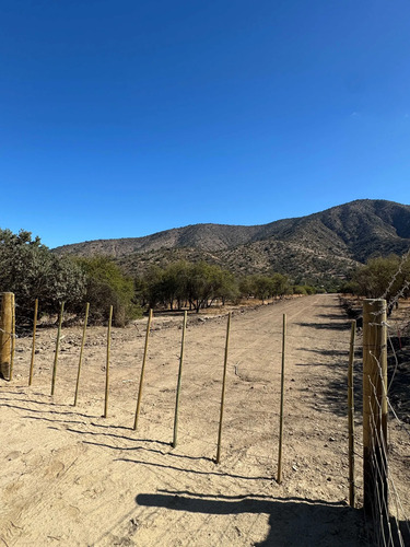 Parcelas De Agrado 10000 M2 Curacavi Ruta 68 (176809)