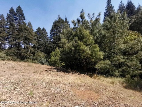 Imagen 13 de 13 de Qh4 Terreno Enorme Inmerso En La Naturaleza