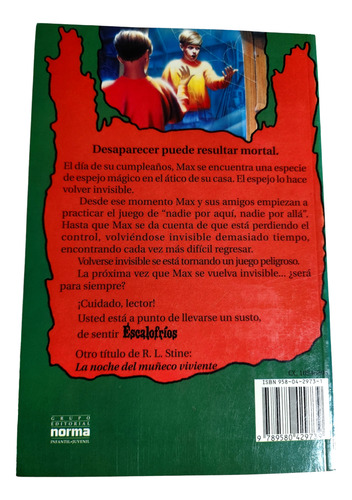 Libro Escalofrios R.l.stine Volvámonos Invisibles Como Nuevo (Usado)