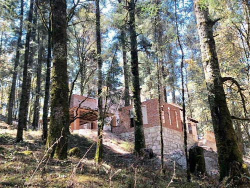 Imagen 7 de 12 de Terreno En Venta Bonito Bosque Para Tu Cabaña! Fracc Residencial Campestre!