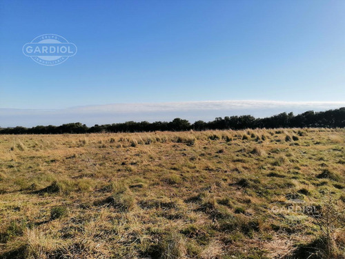 Campo Agrícola/ganadero En Tarariras