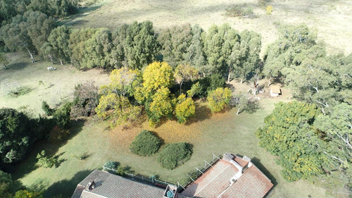 Terreno Y Lote (1) Zona Sur - M. Rivadavia