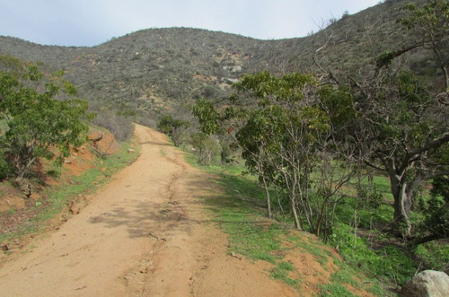 Vende 10 Hectareas, Rol Propio, Geografia Variada, Curacaví