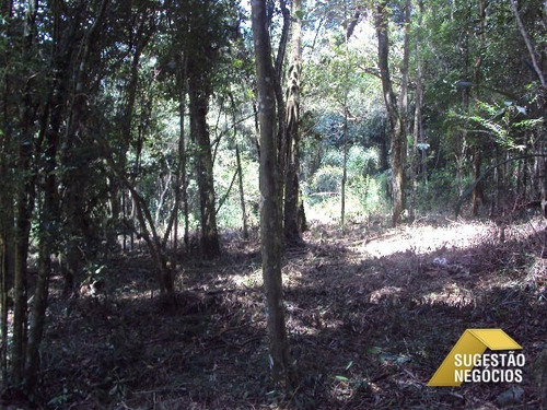 Imagem 5 de 15 de Terreno Na Represa Pé Na Água 4.672 M² - 2226