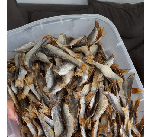 Peixe Baiano Seco Salgado Pititinga