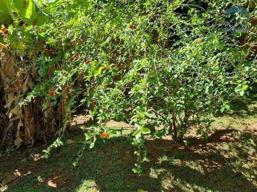 Imagem 12 de 29 de Chácaras Em Condomínio À Venda Em Atibaia/sp - Compre O Seu Chácaras Em Condomínio Aqui! - 1384504