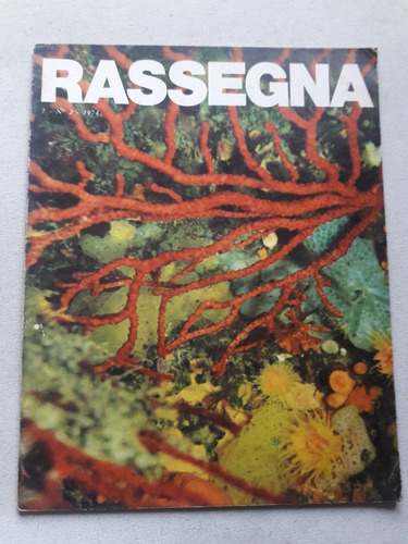 Revista Rassegna Nº 2 Volumen 7 - Año 1974 Medica Y Cultural