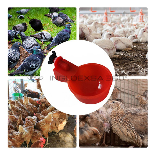 Bebedero Automático Para Aves Pack 06 Unids.