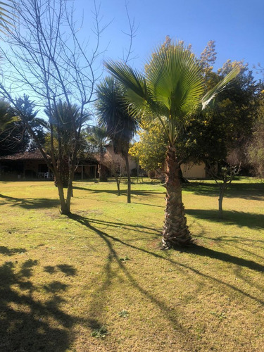 Gran Casa En Parcela Con Tremenda Ubicación, Cerca...