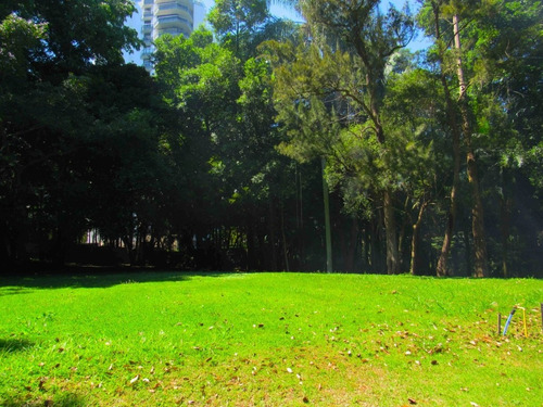 Imagem 1 de 28 de Terreno-são Paulo-alto Da Boa Vista | Ref.: Reo38411 - Reo38411