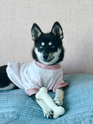 Imagen 2 de 4 de Camiseta Rosada Para Mascotas M
