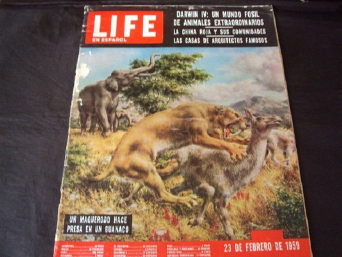 Revista Life En Español ( 23/02/1959) Tapa La Prehistoria