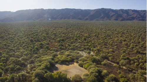 Imagen 3 de 18 de Campo - La Aguadita