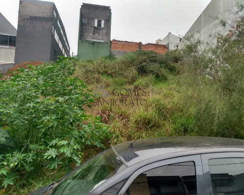 Imagem 3 de 11 de Terreno Com 125m² No Bairro Do Parque São Vicente Em Mauá Sp - Te00099 - 70172103