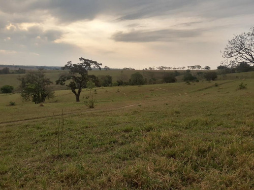 Imagem 2 de 11 de Terreno Em Bairro Aterrado, Monte Mor/sp De 30000m² À Venda Por R$ 6.800.000,00 - Te2325705-s