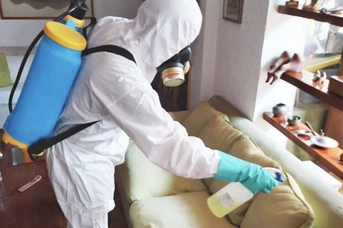 Imagen 4 de 7 de Servicio De Sanitización Y Desinfección Para Casas Y Deptos