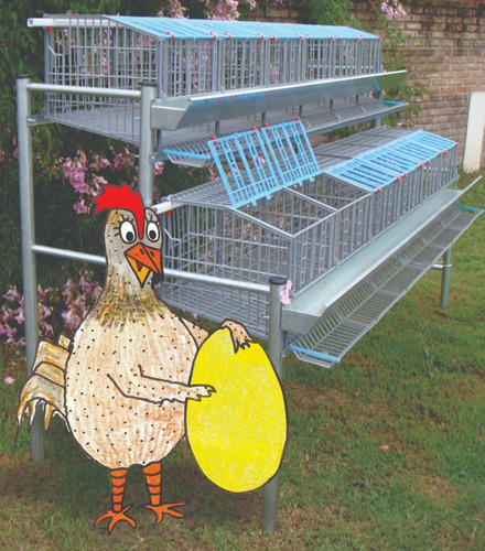 Jaula De Plastico Ivega Para 36 Gallinas Ponedoras