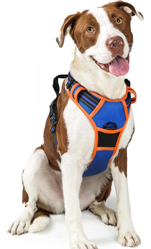 Arnés Para Perro Rabbitgoo, No Tiro, Ajustable, Tamaño L