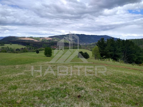 Agrícola Campo O Inmobiliario Loteo En Venta En Panguipulli