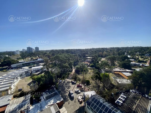 Venta Apartamento Punta Del Este 2 Dormitorios 