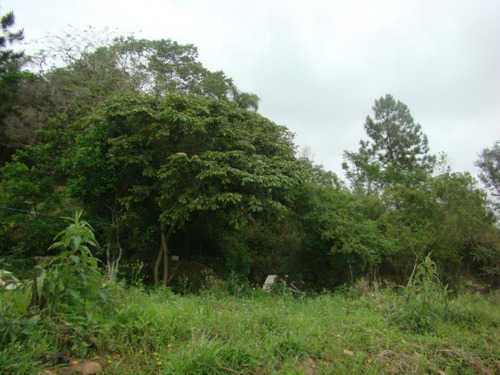 Imagem 4 de 14 de Terreno Rural De 17 Mil Im² - Tapeva, 400 Metros Da Sc 437