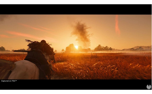 Imagen 7 de 8 de Ghost Of Tsushima Directors Cut Formato Físico Ps4 Original