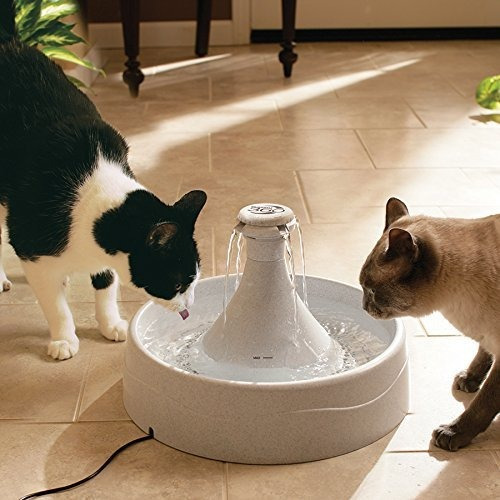 Fuente De Agua Para Mascotas