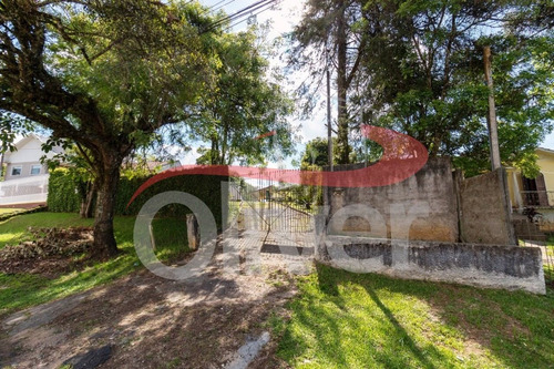 Imagem 3 de 30 de Terreno Em Barreirinha, Curitiba, Paraná - Te00033 - 33491718