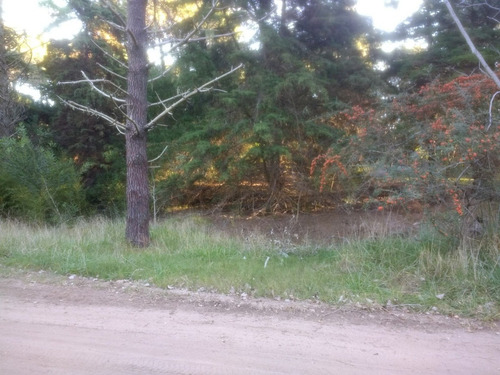 Imagen 5 de 6 de Gran Lote En Zona De Bosque, Hermoso Entorno!!!