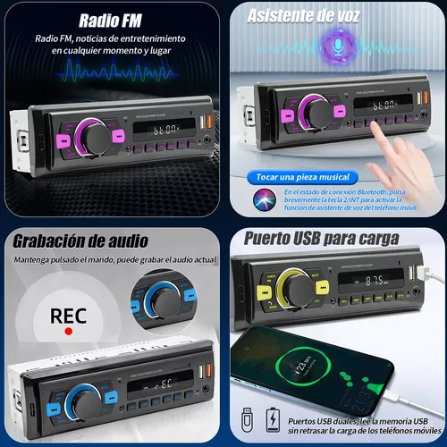 Radio CD DAB Glastonbury, Bluetooth, Altavoz estéreo, Reproductor de CD, Pantalla, Radio FM/DAB, Antena FM, Reproducción MP3, USB, Modo  Line-In: conexión de otros reproductores