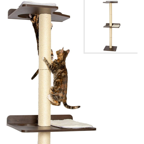 Torre De Escalada Y Arbol De Actividades Para Gatos 24 X 20