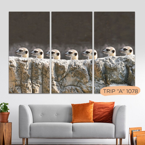 Imagen 4 de 10 de Cuadros Animales Triptico Fotos Modernos 100x90 Tela