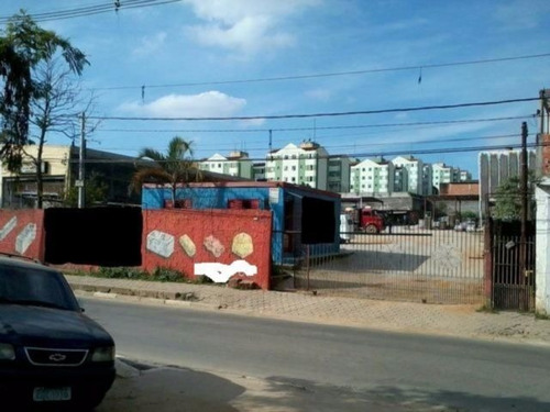 Imagem 3 de 6 de Terreno - Guaianazes - Ref: 1089 - V-3123